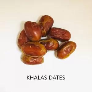 Khalas Dates 10kg Box - Energy & Nutrients