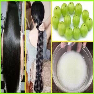 Dabur Amla Hair Oil 200ml Nourishes, Moisturizes & Shields