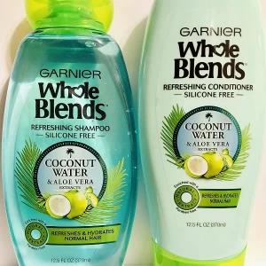 Garniers Whole Blends Shampoo Conditioner 370ml