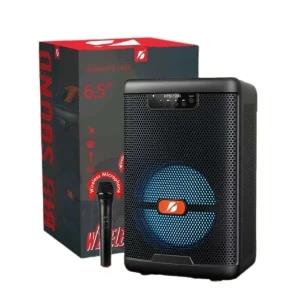 karaoke speaker with Wireless Mic - KTS-1330