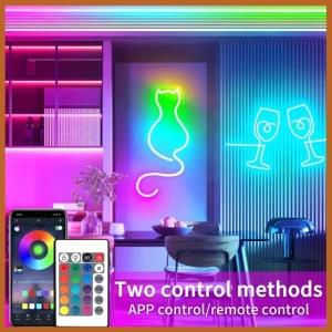 RGBIC Neon Rope Lights 5M LED Neon Flex USB