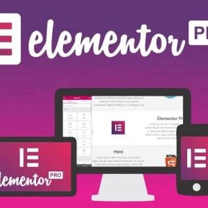 Elementor PRO WordPress Page Builder Latest 3.14.0