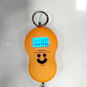TT Portable Electronic Scale