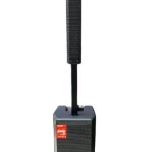 Malata Dual 10 Inch Professional Speaker - TGTE-M9751