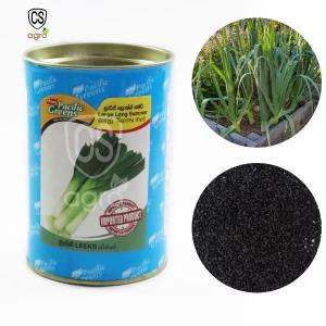 Leek Large Long Summer Seeds 100g