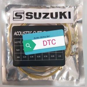 Acoustic Guitar Strings