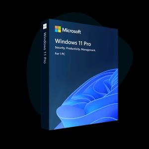 Microsoft Windows 11 Pro OEM License Key