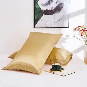 Champagne Premium Quality Silk Pillow Case 18\