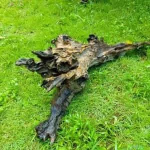 Driftwood for Aquarium / Natural Wood
