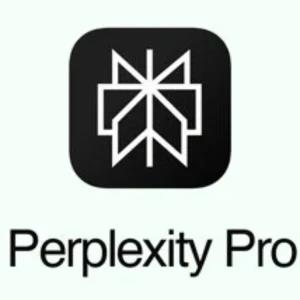 Perplexity Pro for One Year