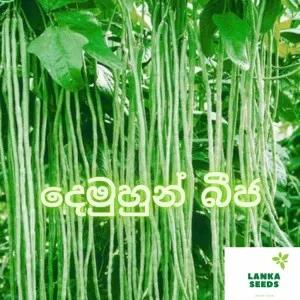 Malaysian long beans seeds pack for home garden