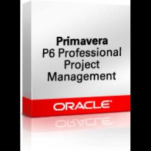 Primavera P6 Professional 19.12 x64 [Lifetime]