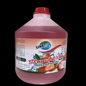 Skincare Handwash Liquid Soap Germ Protection