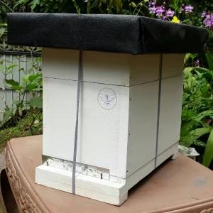 Bee Box 6 Frame Wooden