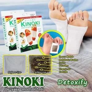 Kiyome Kinoki Cleansing Detox Foot Pads 10