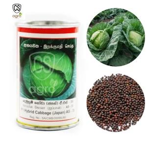F1 Hybrid Cabbage Seeds 10g