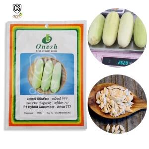 F1 Hybrid Cucumber Ariso 777 Seeds