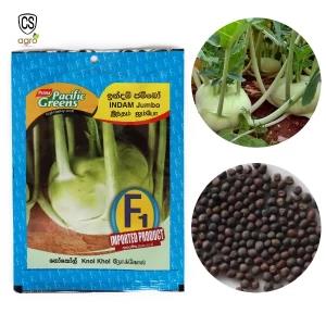 F1 Hybrid Knol Khol Indam Jumbo Seeds 5g