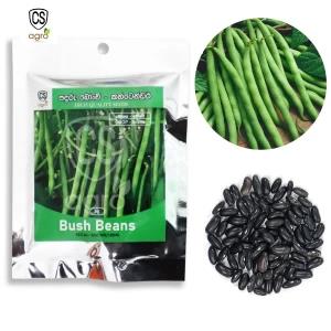 Generic Bush Beans Seeds 5g for Home Gardening