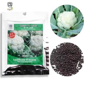 Generic F1 Hybrid Cauliflower Seeds 25