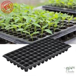 Black 72 Holes 1 Pcs Thick Black Seedling Tray Seedling Nur