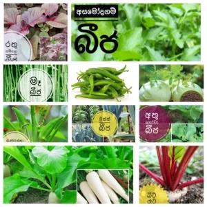 Vegetable seeds package of 10 variety
