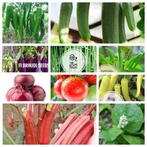 Vegetable variety of 10 seeds pack