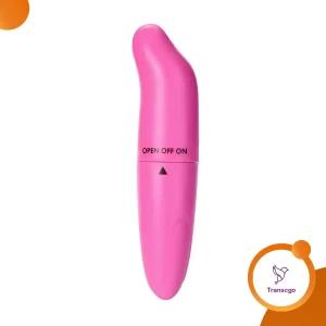 Dolphin Massager Sex Toy Vibrator