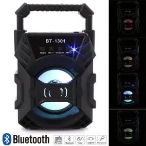 ZHT-1012 Portable Bluetooth Speaker