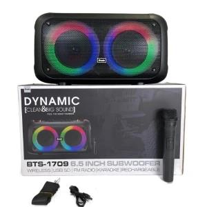 Portable Bluetooth Party Box with Mic BTS-1709 Subwoofer