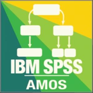 IBM SPSS Amos 30 Quantitative Analysis Software