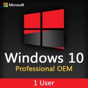 Microsoft Windows 10 Pro OEM System builder