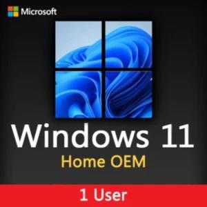 Microsoft Windows 11 Home OEM System Builder