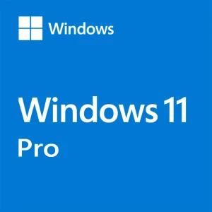 Windows 10/11 Pro OEM 5PC