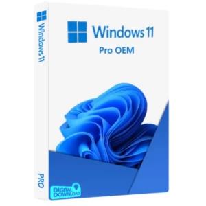 Windows 10/11 Pro OEM Activation key