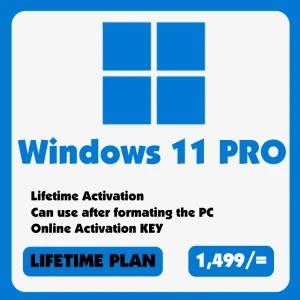 Windows 11/10 PRO - OEM - Lifetime