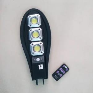 Solar Induction Wall Lamp