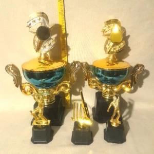 Generic Sports Trophies Set 5-in-1
