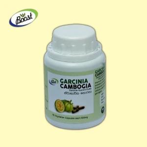 Garcenia Goraka Capsules - Weight Loss Support