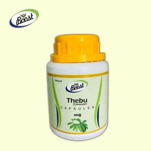 Thebu Natural Insulin Plant -Regulating Sugar Level