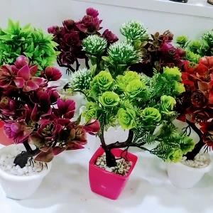 flower vase bonsai
