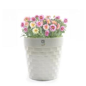 Plastic Flower Pot for Home Gardening