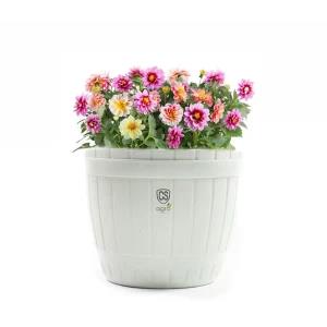 Plastic Flower Pot for Home Gardening