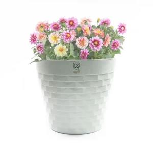 Plastic Flower Pot for Home Gardening