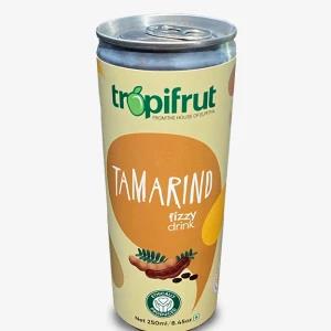 Tropifrut Tamarind Fizzy Drink 250ml