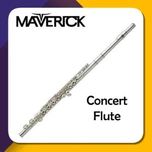 Silver Maverick Silver Nickel Plated C Closed Hole Concert B