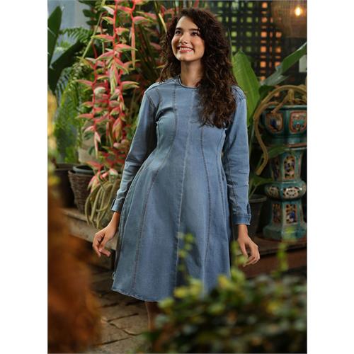 Long Sleeve Panneled Stylish Denim Dress