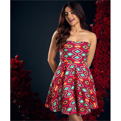 Scuba Printed Skater Tube Dress