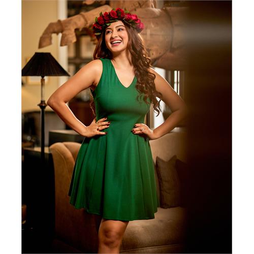 Vneck Skater Green Dress