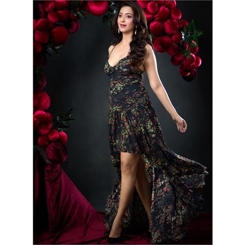Deep VNeck Printed High Low Maxi